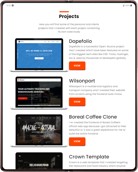 Awesome portfolio for web developer